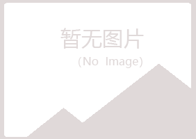 措美县夏岚冶炼有限公司